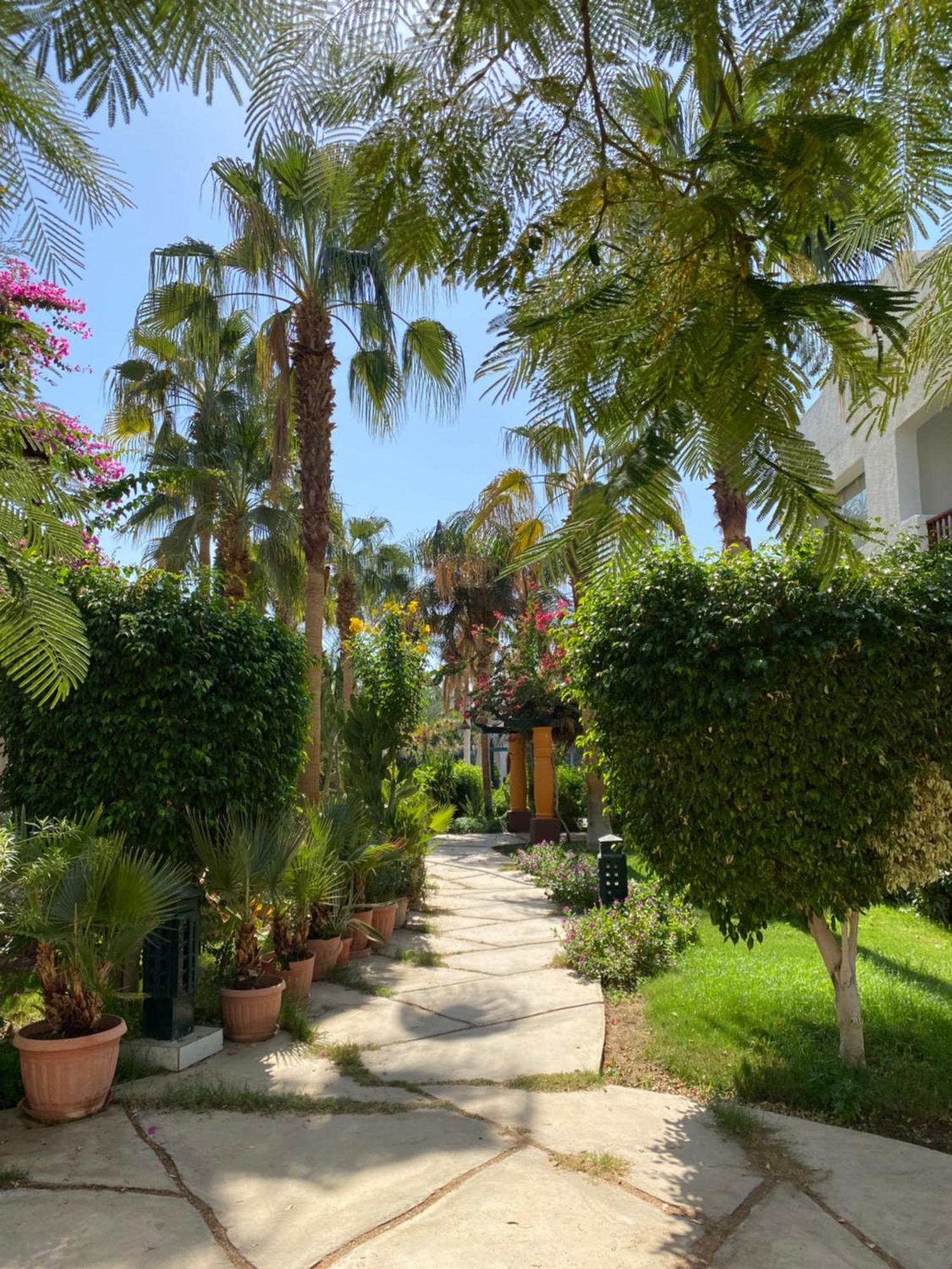 Delta Sharm Apartment Bagian luar foto